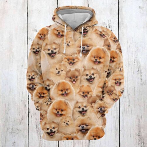 Pomeranian Lover Hoodie Dog Lover Sweatshirt Pomeranian Dog Gift Cozy Pet Apparel image 1