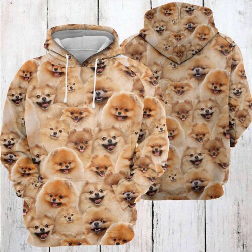 Pomeranian Lover Hoodie Dog Lover Sweatshirt Pomeranian Dog Gift Cozy Pet Apparel image 0