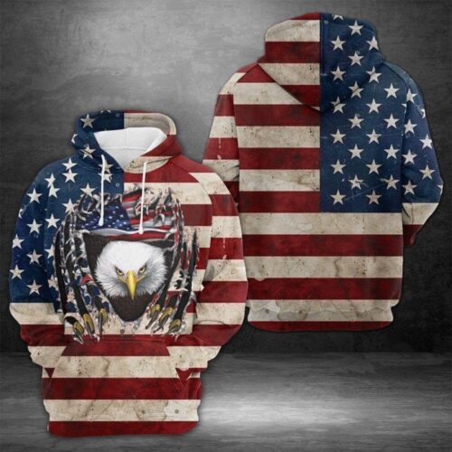 Unisex Eagle USA Hoodie American Eagle Pullover Sweatshirt for Eagle Lovers image 0